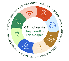 8 Principles